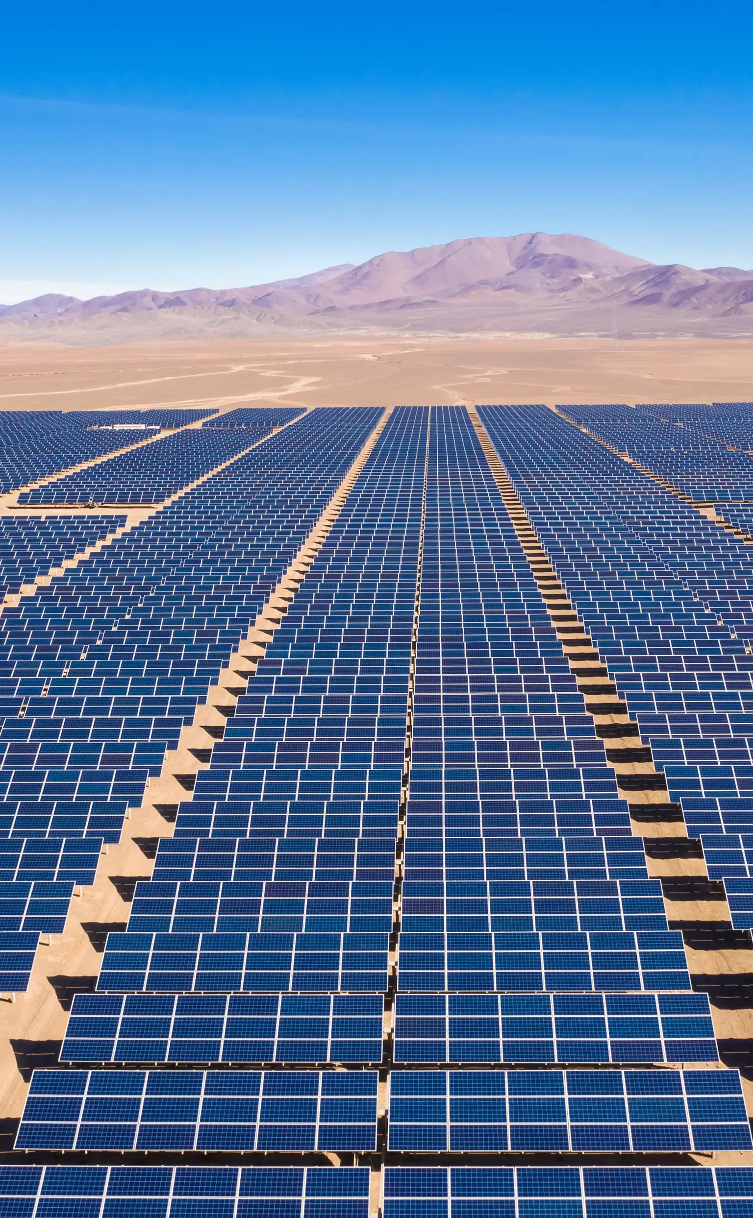 EDF Trading The wholesale energy market specialist